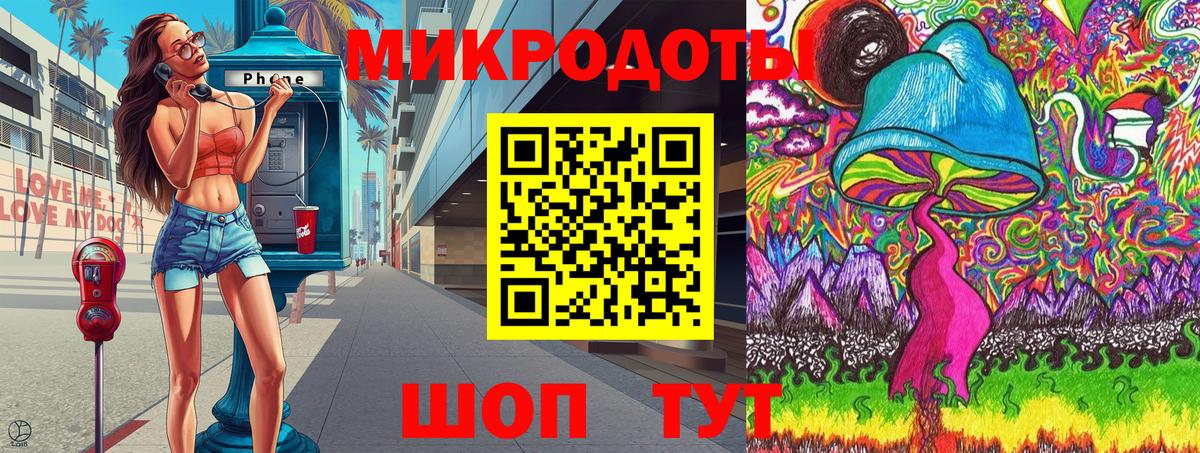Псилоцибиновые грибы Psilocybe Набережные Челны